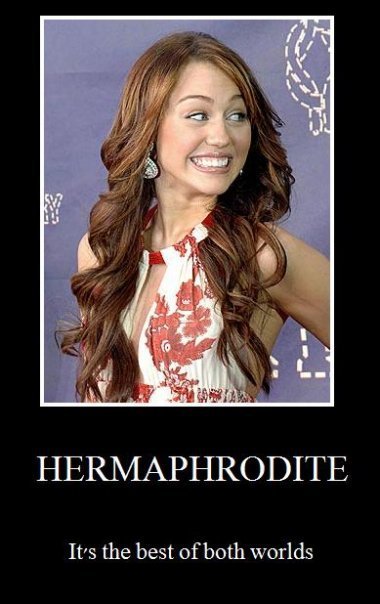 Hermaphrodite