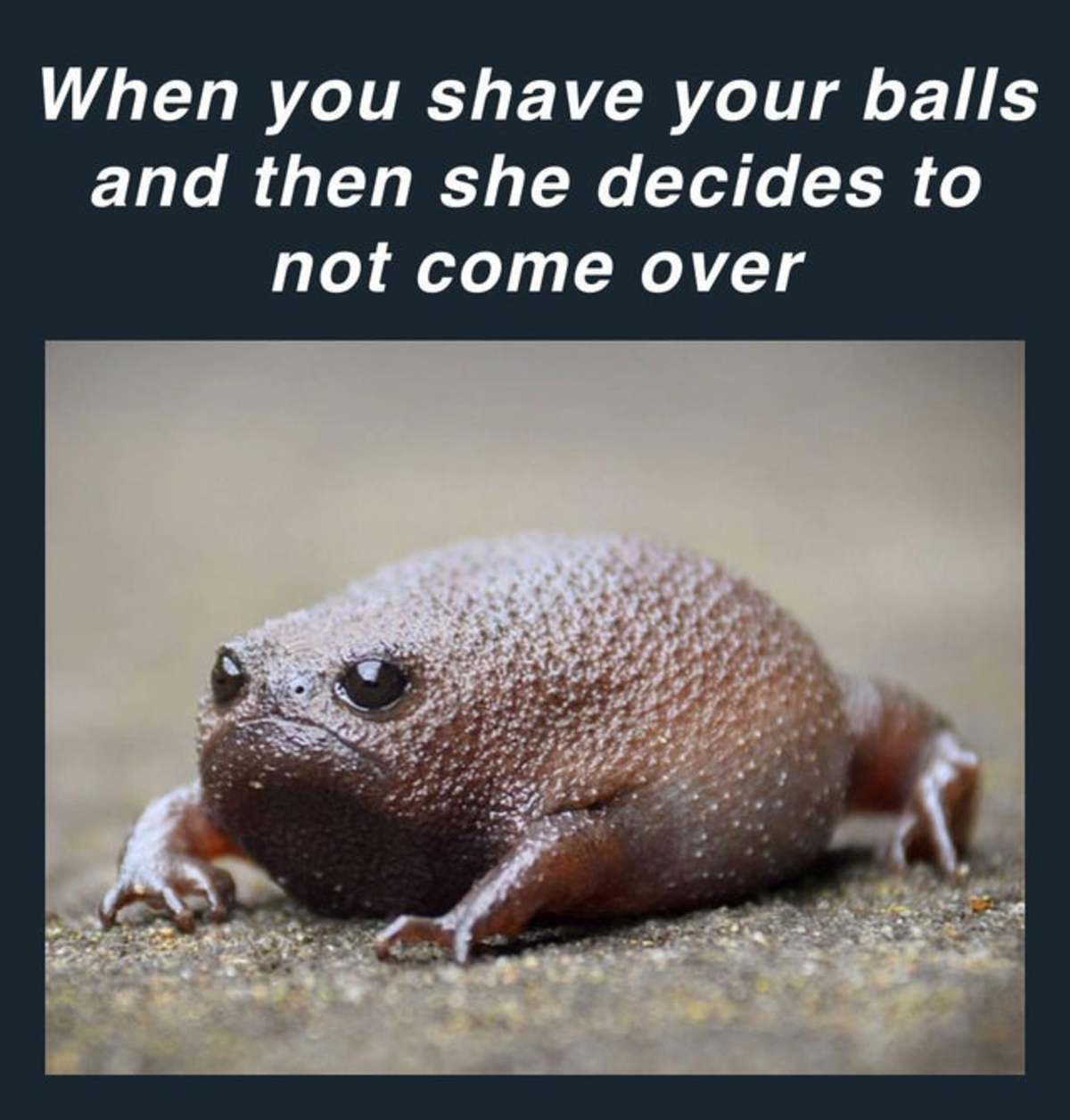 Shaving my balls