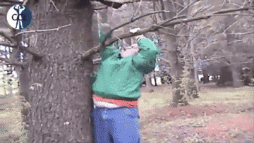 26+gifs+of+idiot+kids+we+can+all+agree+t