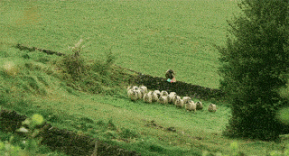 haha you alright?. .. This demonstrates the value of not being seen.