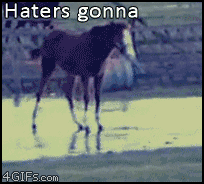 haters gonna hate, horse. .