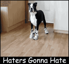 Haters Gonna Hate. Like a boss.