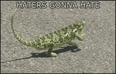 Haters Gonna Hate!. .. i love it!!!!