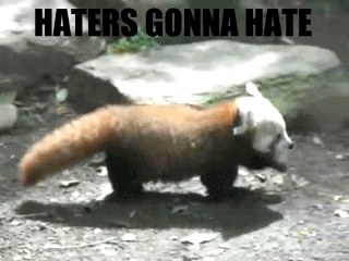 Haters Gonna Hate. Always hating on my furry animal friends... Now do it backwards