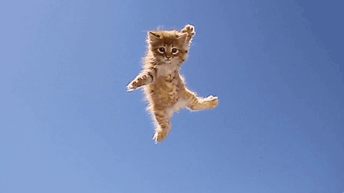 heard you like kittens and boobs. bring on the ban hammer.