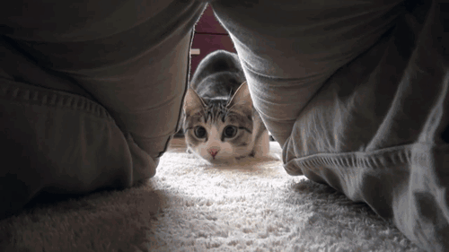 Hi :3. .