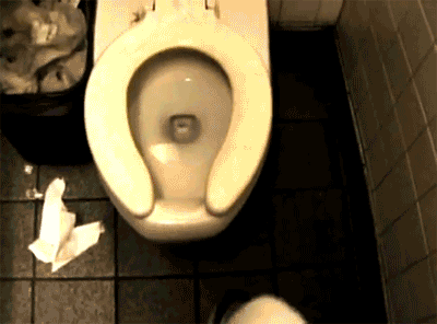 HOLY . I bet you're gunna check every toilet seat now, eh?.. http://funnyjunk.com/funny_gifs/2679197/Dear+God/