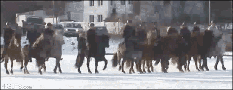 Horse Ride Challenge. The horses took the frozen lake challenge.. &quot;Hey horses, do you like the cold water?&quot; &quot;Nay.&quot;