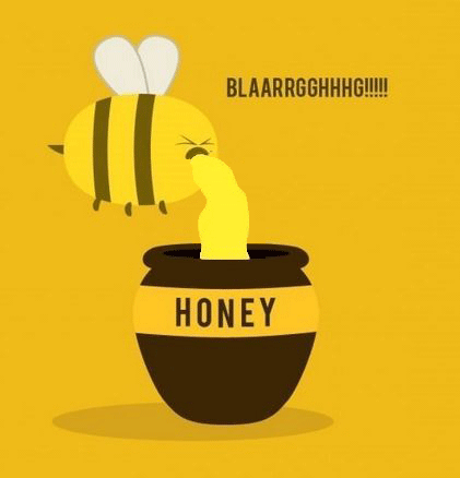 How Bees Make Honey. yourinvisiblegf posted this, and I felt like .gif-ing it. so here you go... This is some glorious gif