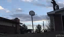 How it feels in newest uploads. take that leap... and fail terribly and crush your nuts on the way down.. mother of god what must i do to please you people