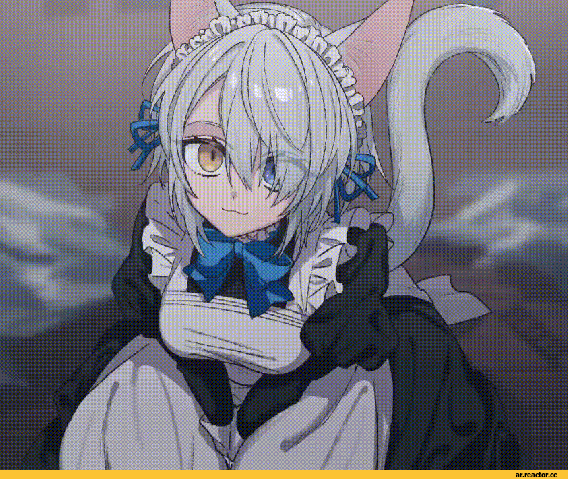 Shiro neko. .. Heterochromia, catgirl, maid outfit.. Have some mercy.Comment edited at .