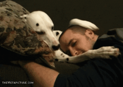 There, there, human.. .. this is my favourite dog