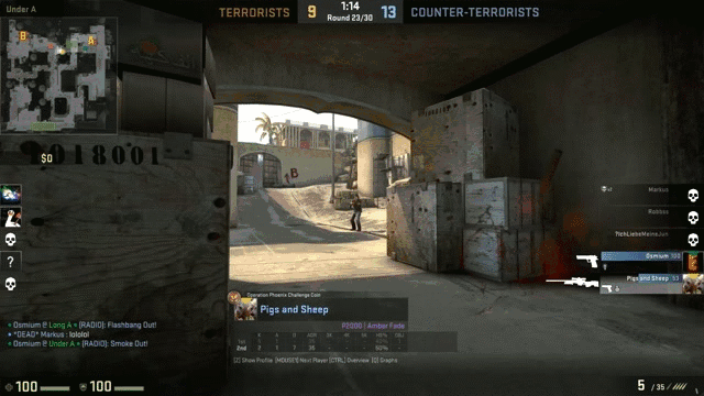 Typical CS:GO teamwork. .. I thought he was going to bounce it off of his teammate.