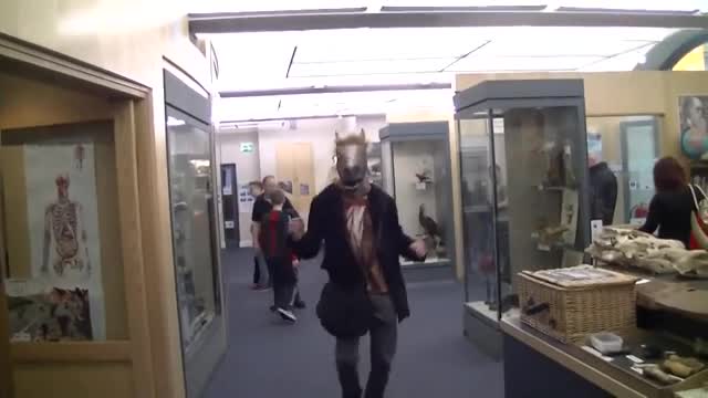 Horsin' Around (OC). Old video from a few years ago before I became an adult and fell into a bad state of depression. Just bought a new camera and looking for a