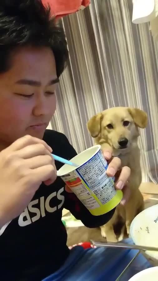 Monday's Cute Things - 24/4/2017. join list: CuteStuff (2112 subs)Mention History I find myself describing animals as dorks if they're cute... WHY DID YOU MAKE HIM WAIT THAT LONG LET HIM EAT THE FOOD HES A GOOD BOY