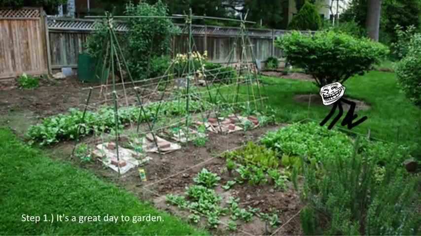 heart Partridge. .. I like gardening
