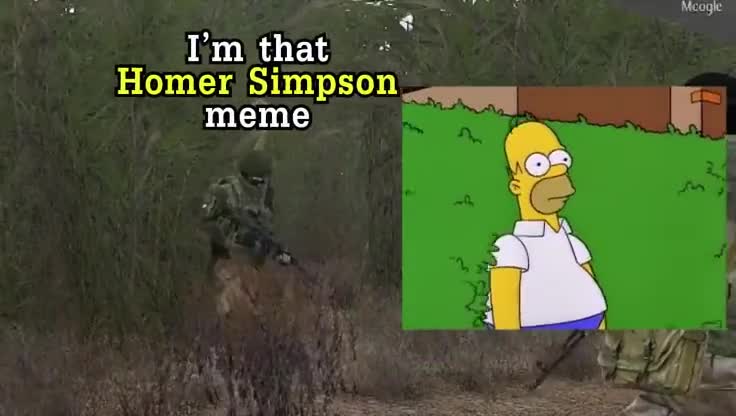 Homer Simpson Meme. .. Womble is a faggot