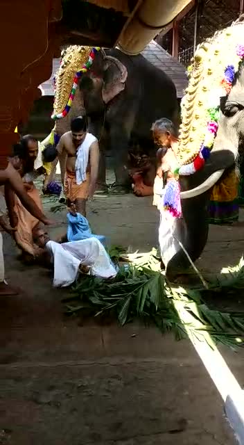 Welcome to Kerala, India Pt. 2. Don't be afraid of the elephants at our temples. They're actually really well-trained Edit: FJ made a vertical video play sidewa