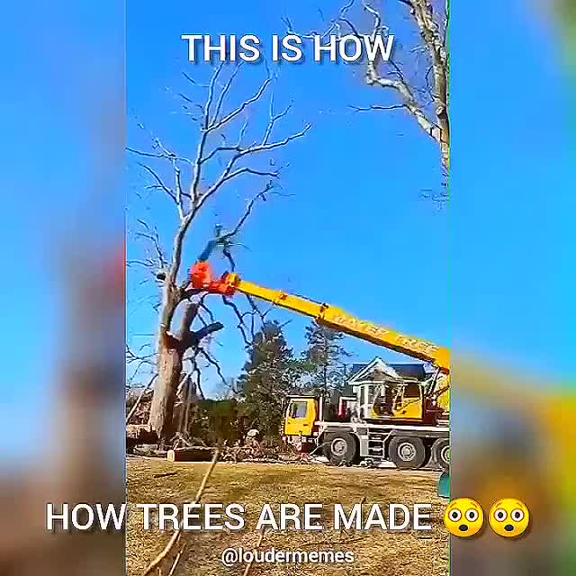 how trees are made. .. Song source?