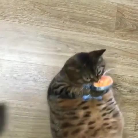 He monch. .. OH LAWD HE COMIN'