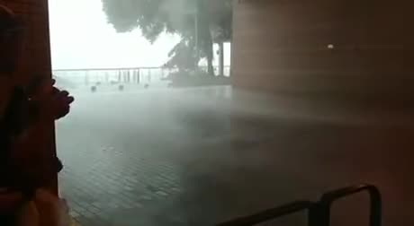 Typhoon in Hong Kong comp. 1 2 3 4 5 6 7 Buildings are moving 8 9 10 11 12 Drift it boi 13 Protection 14 15 16 17 18 Doesn't give a .. Nothing like a nice cool breeze.