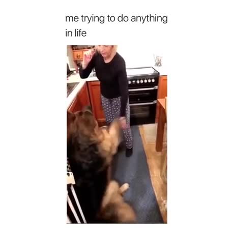 He meant well.. .. This might be the funniest video I've ever seen