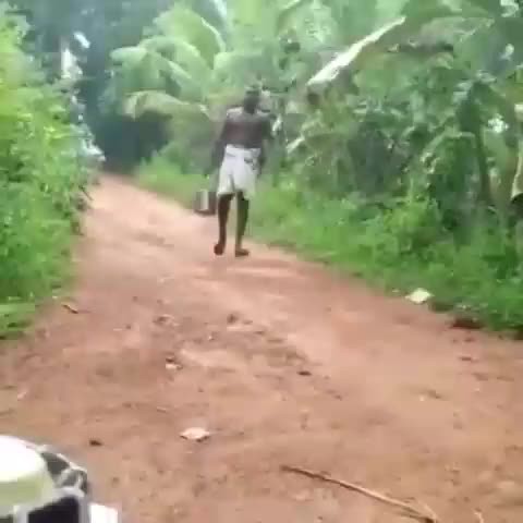 Welcome to Kerala, India. Edit: , I uploaded this from my phone and it didn't play the audio and I thought it was gif 'cause it kept playing itself .. I watched this about 30 times and still laugh my off