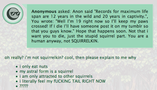 Adventures of a Tumblr Whore pt 3. Welcome to the first comp of this crazy girl who thinks she is a squirrel! Check out my other content for the past two posts 