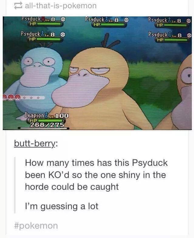 Advice mallard. Shiny pokemon watch their friends go down before being captured. How many times has this Psyduck been KO' d so the one shiny in the horde could 
