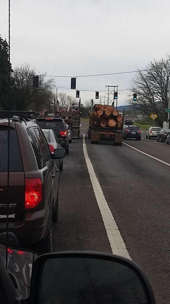 After watching Final Destination. .. Oh yes, I live in a logging area here in Maine, and I have Vietnam like flashbacks every time I see one in front of me.