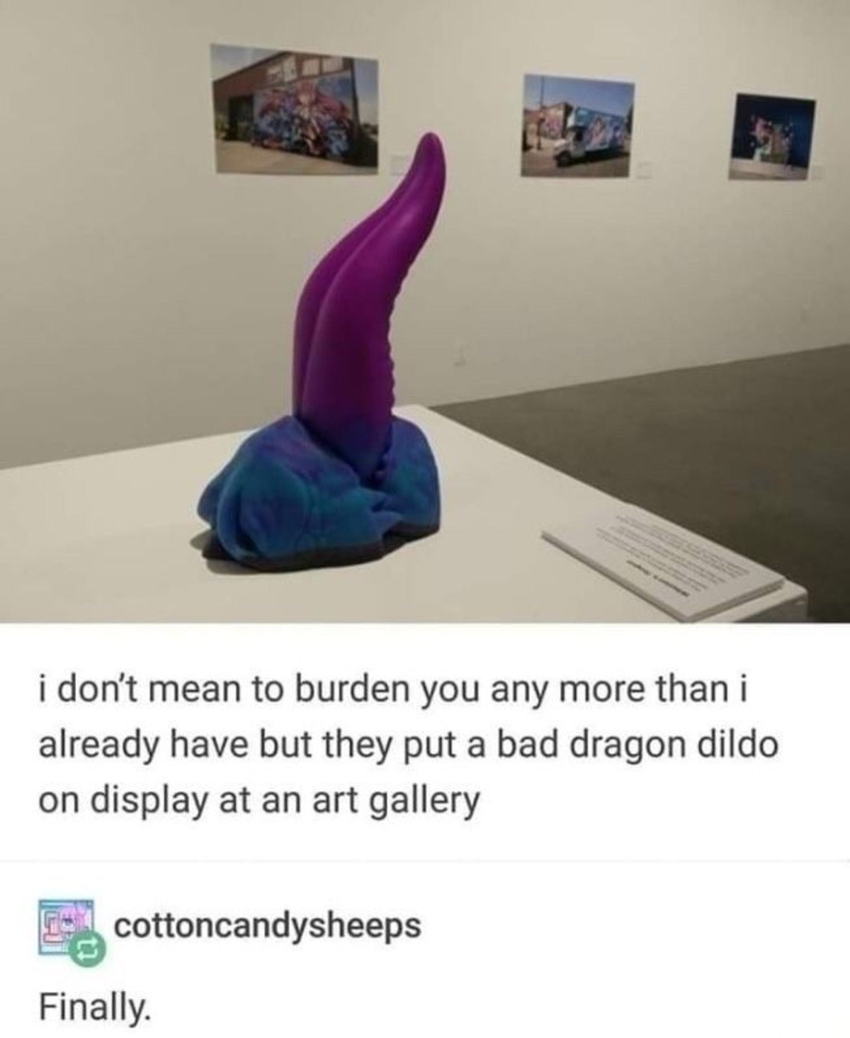 agszhdtf. .. Why does the dragon have a tentacle for a dick?