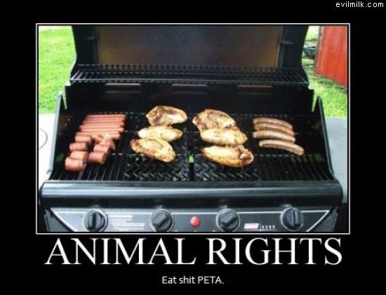Animal Rights. If it's wrong to eat meat, why is it so delicious?.. mmmmmmmmmmm chhicken, hot dogs, sausage. drool :p --------------