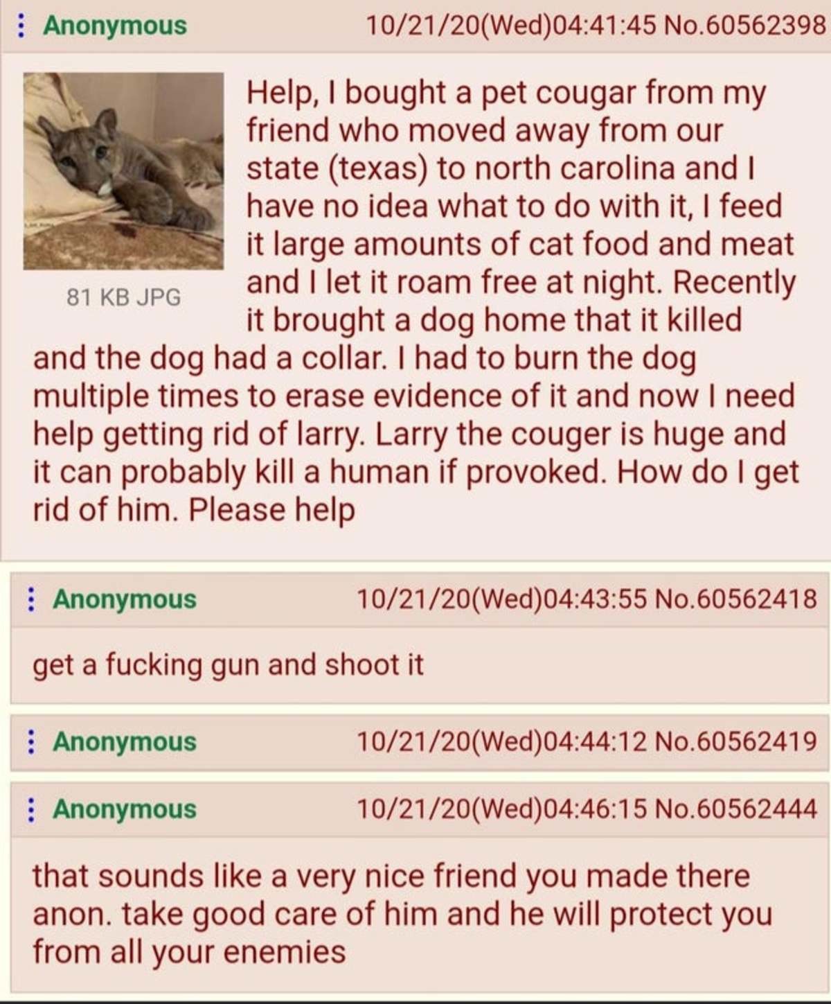 Anon has a Pet Cat. .. Where is that greentext? The guy goes hunting with his pet dog and his friend. It's a cougar. The image has &quot;ain't that some &quot; in it?