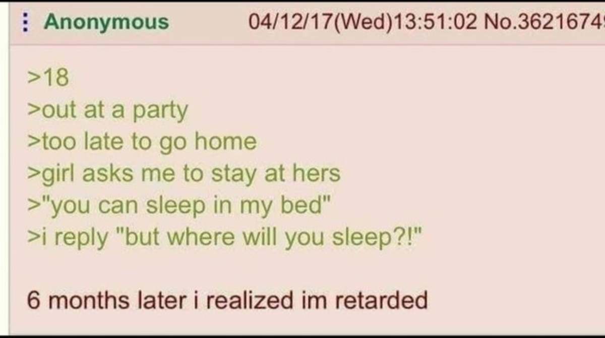 Anon is Retarded. .. Sleeping bag? Sofa? Second bed?