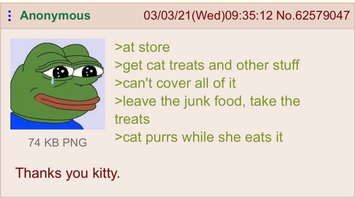 anon loves his kitty. .. Doing the right thing