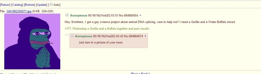 How 4chan’s toxic culture helped radicalize Buffalo shooting suspect | US news | The Guardian