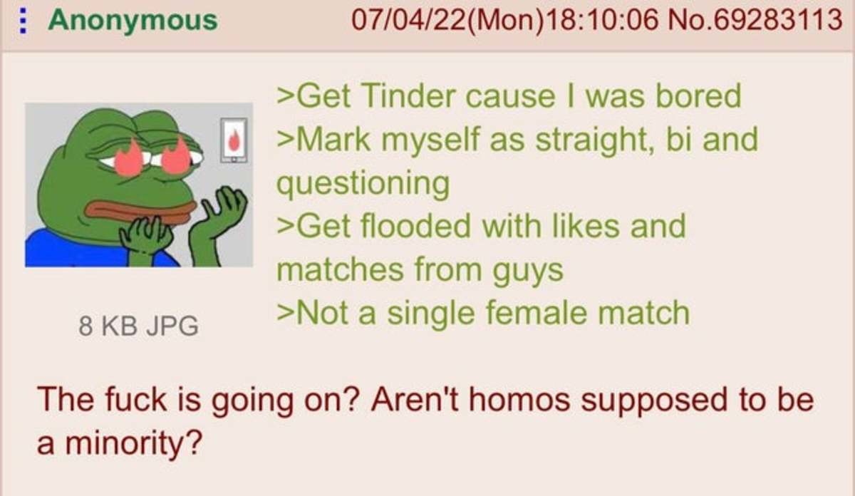 Anon tries Tinder. .. Yeah theres more straight chicks than gay dudes, but womens standards are so unbelievably high (i think they did a study where women ranked approx 80% of men as