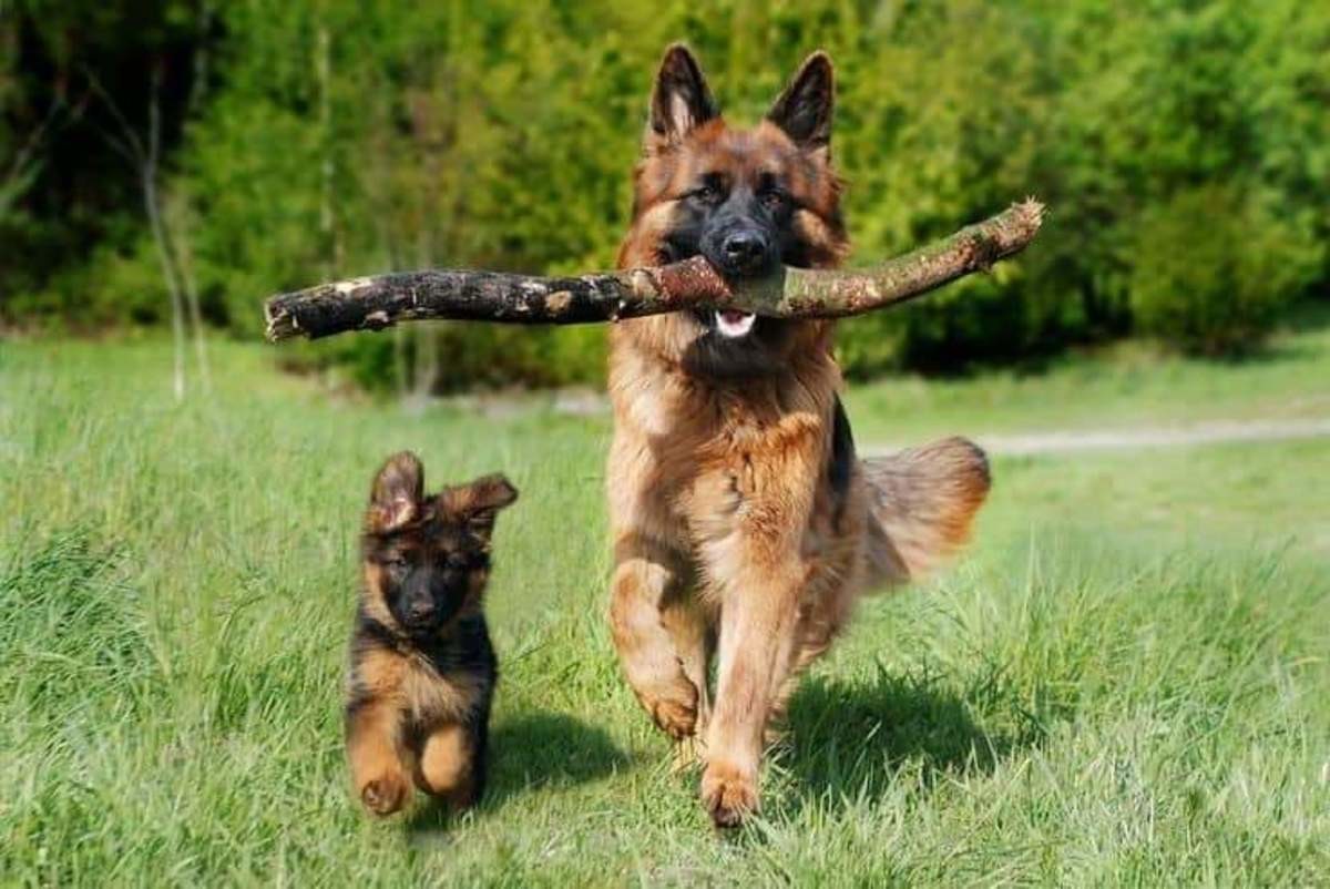 aww. join list: Suesskram (452 subs)Mention History.. They found the stick of legends. Branch manager and assistant branch manager. 