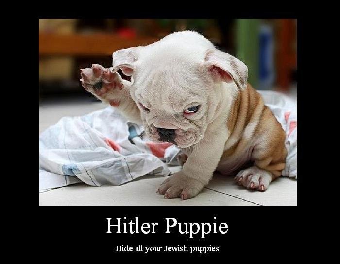 Puppie. .. whats a 6 letter word for a jewish baker? hitler oh i can't wait for all the jewish thumbs going down in my direction