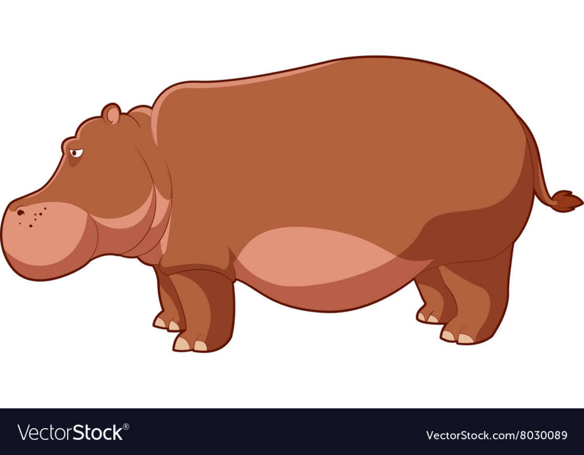 brown Hippopotamus. hi (｡・`ω´･).