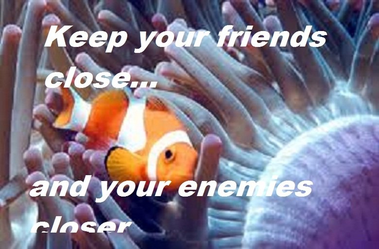 Clown Fish Pun. Good 'ole OC made by me.. hope you guys find it punny! Hmm.. +10 for moar? Edit: Sorry for misspelling &quot;anenomes&quot;.. too lazy to go bac