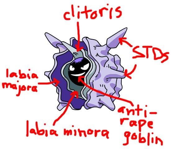 cloyster looks like a. cloyster looks like a . I know I'm not the only...