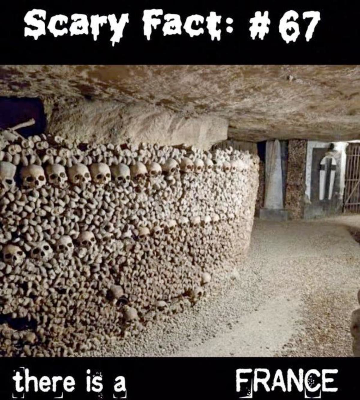 Текст на английском. Предложения с despite. This that these those в английском. Regardless in spite of despite разница. The fact that there are.