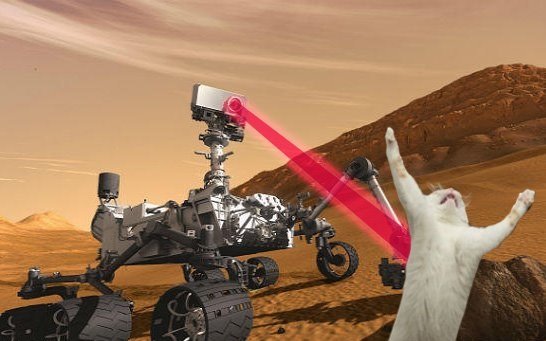 Curiosity killed the cat. source: smosh facebook page.. This is hilarious! Love it! Wish I'd thought of it! Clever!