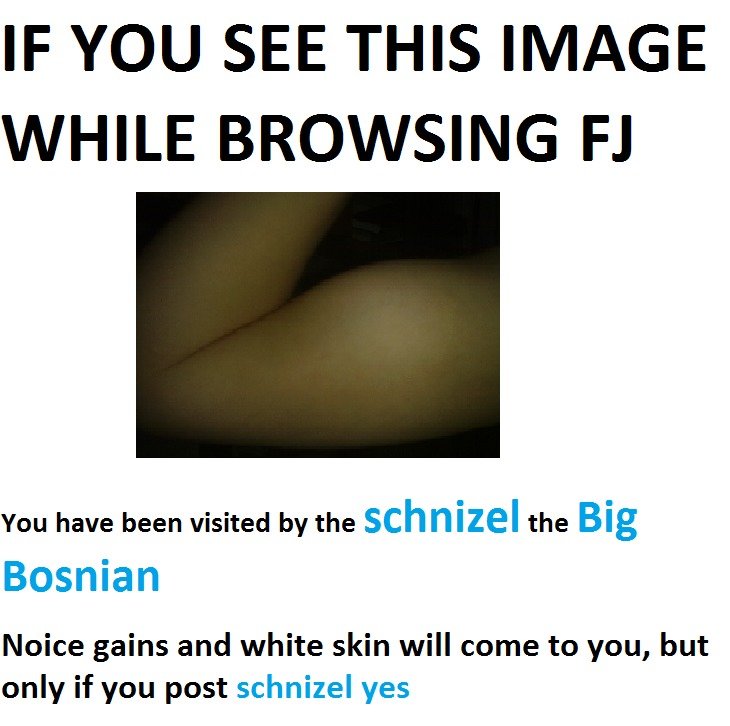 Daily reminder. It's my birthday :^) Post dank memes, yes?. IF YOU SEE THIS IMAGE WHILE BROWSING RI You have been visited by the schnizel the Big Bosnian Noice 