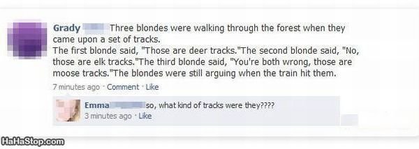 Dam Blondes