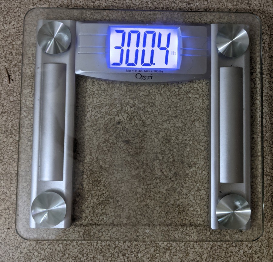 December 2020 weight log. Been a long year, hasn't it? This month, my weight has not decreased. I've hit a plateau that I now need to break through. I have star