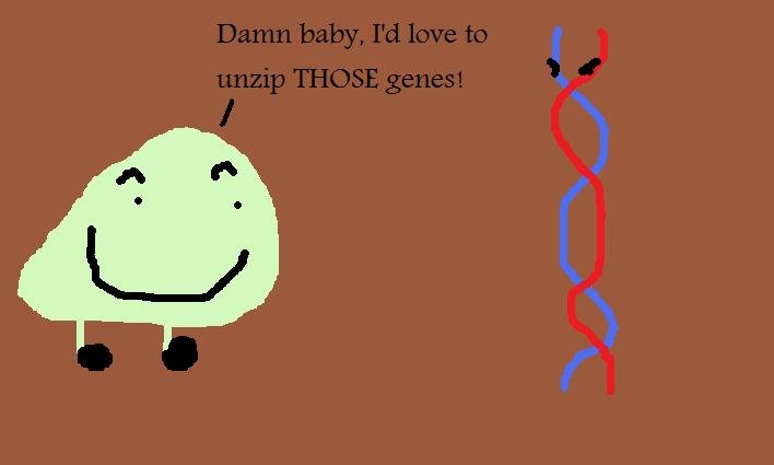 DNA Helicase lulz. The pun is that DNA helicase is what unzips the DNA (genes) during replication... duh duh chh!... no?.. HAHAHAHA damn. i seee what u did there. it should work