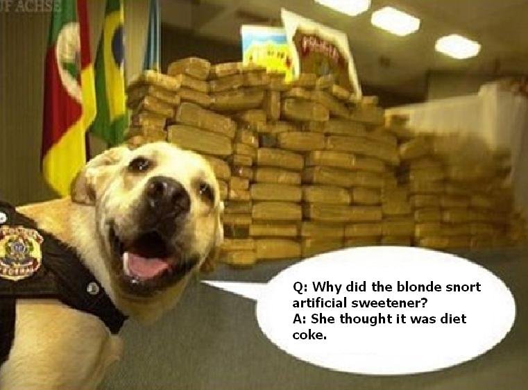 Drug Jokes with Drug Sniffing Dog. thumbs if you lold, or not.... Q: Why did the Mantle snort artificial sweetener? She thought it was diet ecke.. :D
