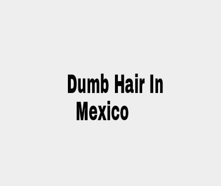 Dumb Mexican Haircuts. . Dumb Hair In Mexico. &quot;Gimme that melted candle, fam&quot;